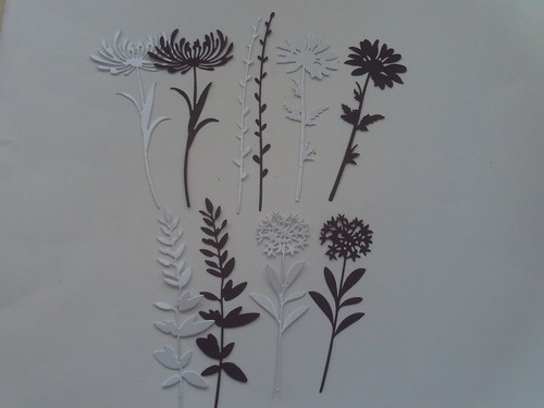 Pack sizzix wild - 30,