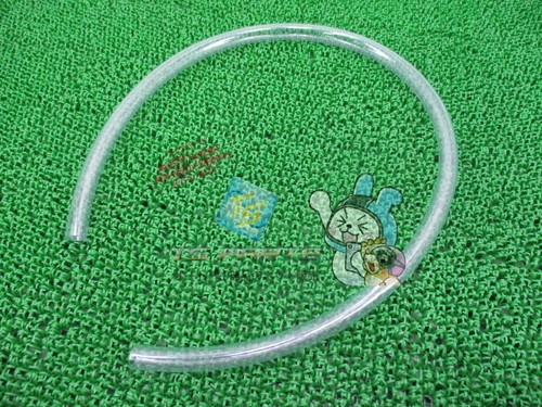 Genuine honda zoomer bulk - genuine,