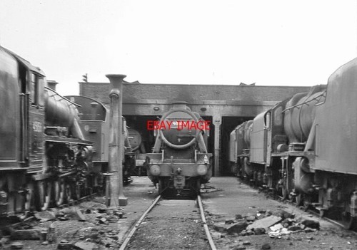 Photo rose grove july 1968 - ,
