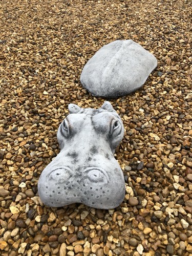 Submerged hippo garden - submerged,