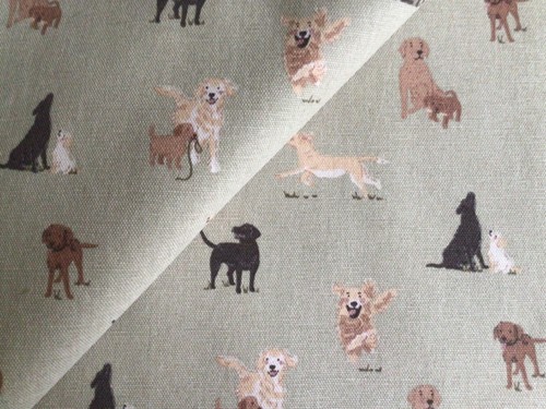 Sophie allport labradors - sophie,