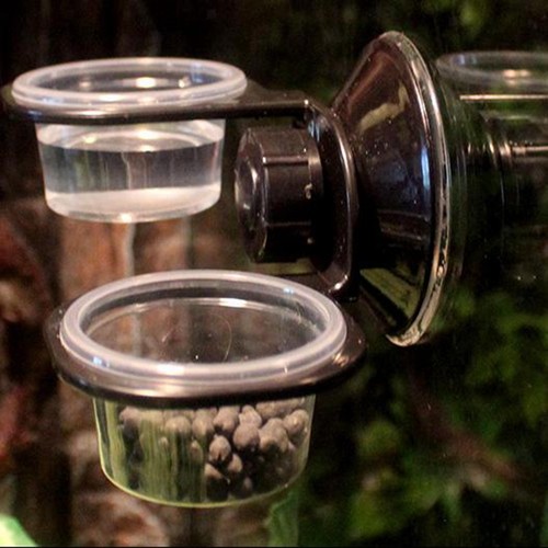 Reptile feeder feeding cup - reptile,