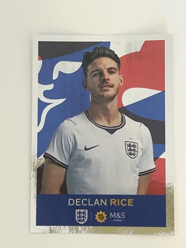 Official panini s england - s,
