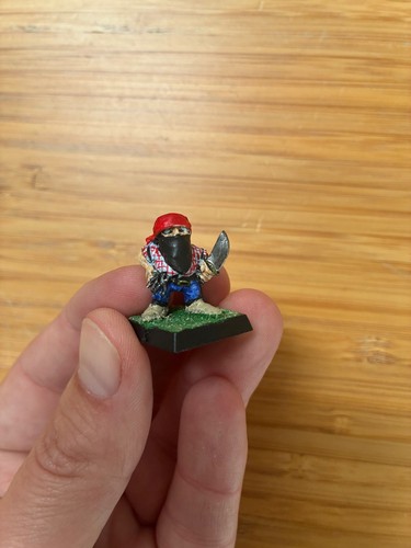 Dwarf hero warhammer fantasy - hero.,