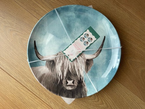 Next set teal hamish - teal,