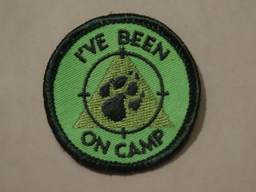 Been camp scout badge - camp,