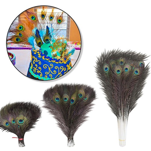 100pc peacock tail feathers - peacock,