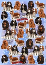 Cavalier King Charles Spaniel Dog Christmas Wrapping Paper By Starprint