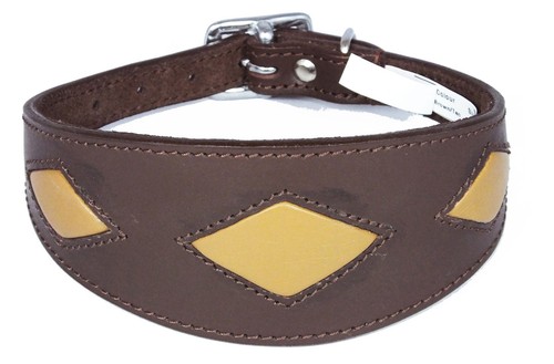 Greyhound collar whippet dog - greyhound,