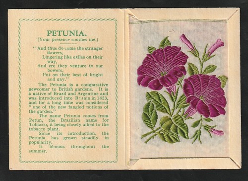 Wix kensitas tobacco silk - kensitas,