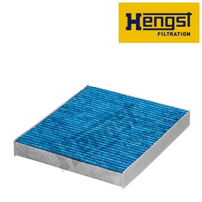 Interior air filter e961lb - filter,
