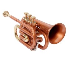 Mini Pocket Trumpet NEW COPPER BRASS LOOK Bb POCKET TRUMPET+FREE CASE