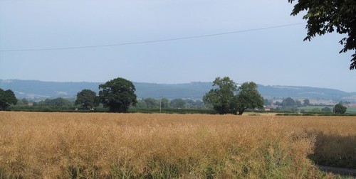 Photo 6x4 farmland - photo,