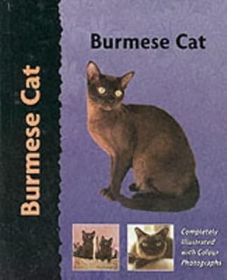 Burmese cat - (pet, love)