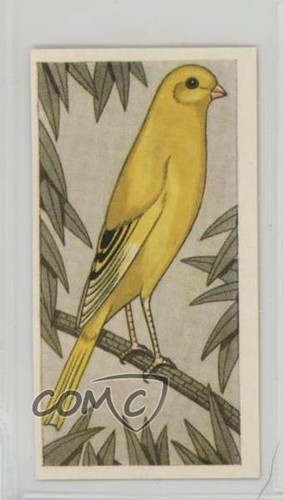 1960 barratt cage aviary - 1960, &