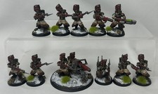 Warhammer 40k Valhallan Ice