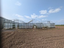 polytunnel. used commercial