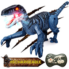 Remote Control Dinosaur Toys