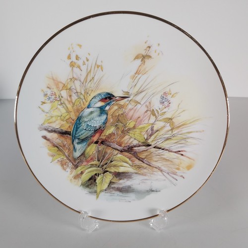 From the british bird - from,