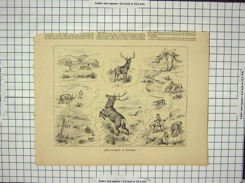 Original old antique print - original,