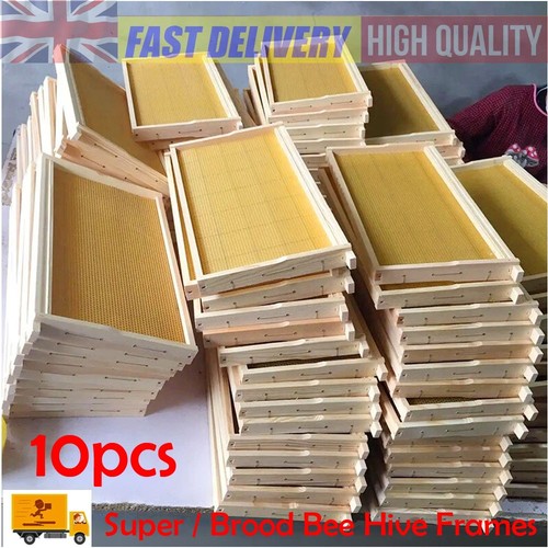 10pcs assembled national - 10pcs,