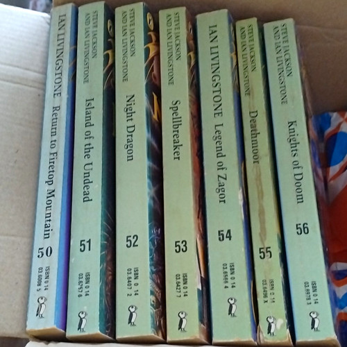 Fighting fantasy gamebook lot - fighting,
