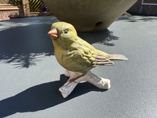 Goebel greenfinch 38026 - goebel,