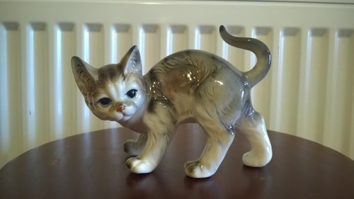 Vintage blue eye - vintage, cat