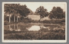 Whiligh Mineral Springs