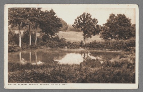 Whiligh mineral springs - whiligh,