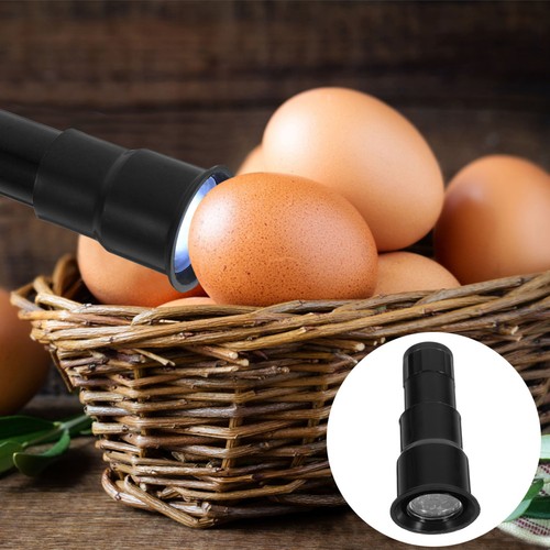 Incubator candling lamp egg - candling,
