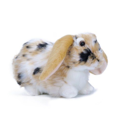 Stuffed rabbit lop - stuffed, lop-eared