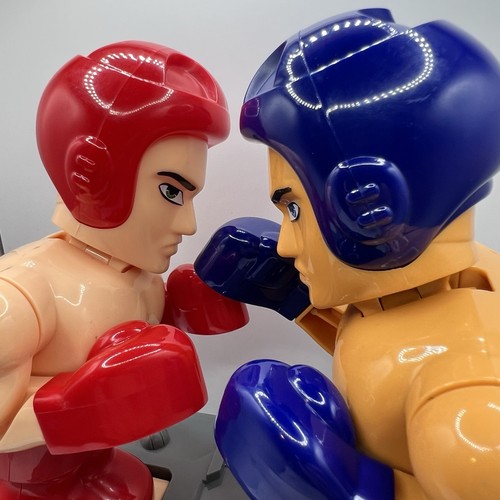 Boxer boxing match motion - boxer,