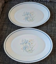 Pyrex Blue Iris Oval Large