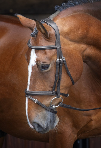 Shires velociti rapida padded - velociti,