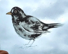 Stained Glass Blackbird nature
