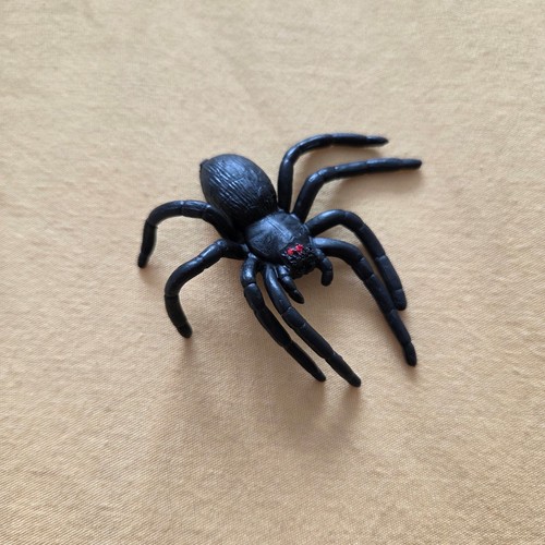 Fake rubber spider realistic - rubber,
