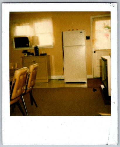 Vtg polaroid snapshot photo - snapshot,