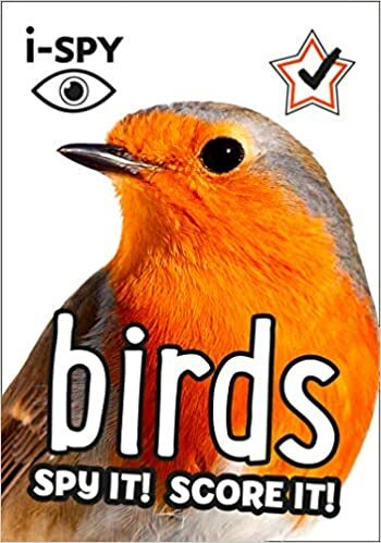 Premium spy birds - spy, it