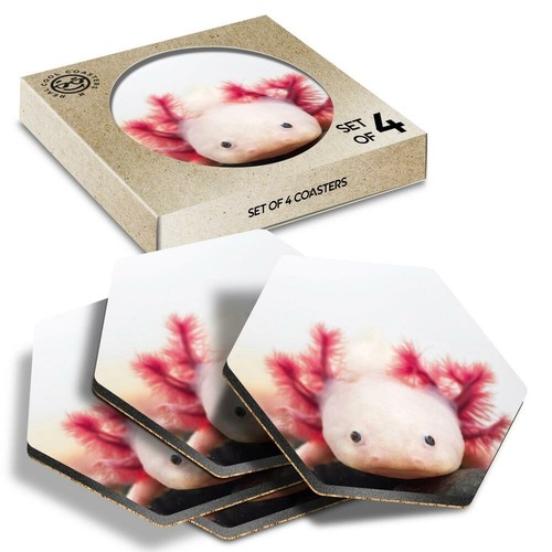 Hexagon coasters axolotl - 4,