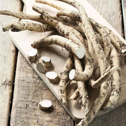 Horseradish vitara high - high, yield