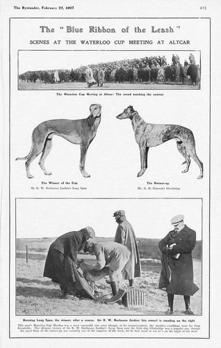 Coursing scenes the - coursing, at