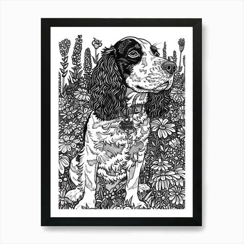 English springer spaniel - english,
