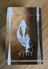 3D Laser Etched Crystal Glass