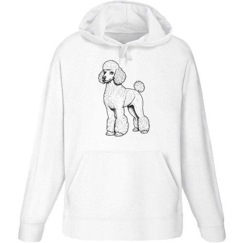 Standard poodle adult - 'standard,
