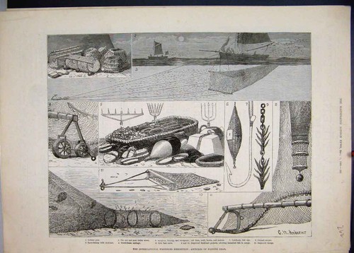 Old antique print 1883 - old,