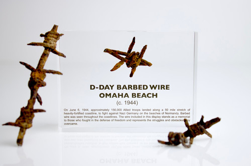 Day barbed wire lucite - wire,