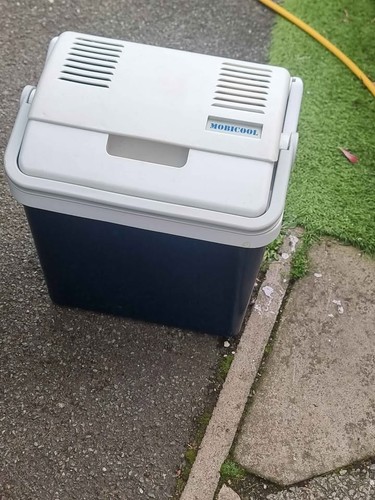 Car cooler box - , 12v