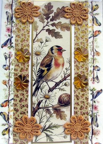 Gold finch garden bird tree - gold,