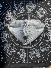 feathers bird wings dove art craft hats cosplay fancy dress display fashion